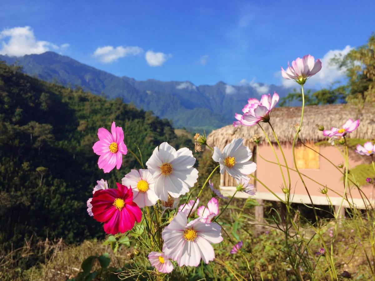 Chapa Farmstay - Mountain Retreat Sa Pa Exterior foto