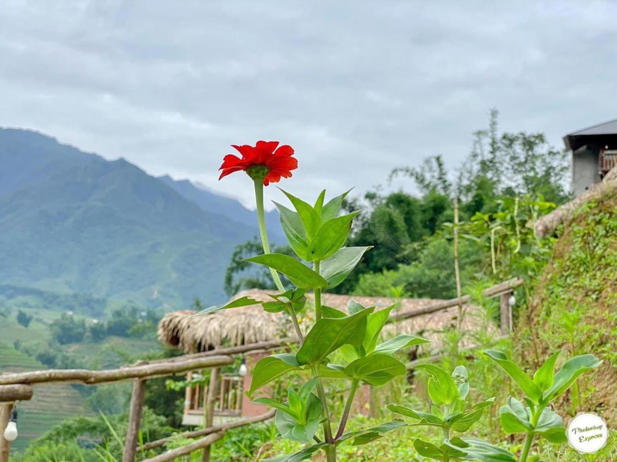 Chapa Farmstay - Mountain Retreat Sa Pa Exterior foto